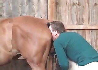 Preparing this white pony for sex